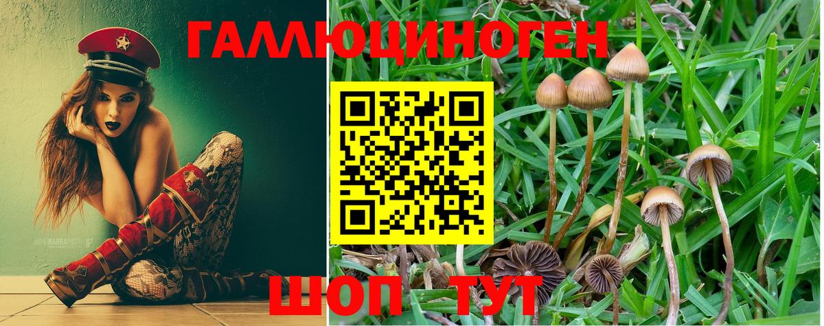 Галлюциногенные грибы ЛСД Новозыбков