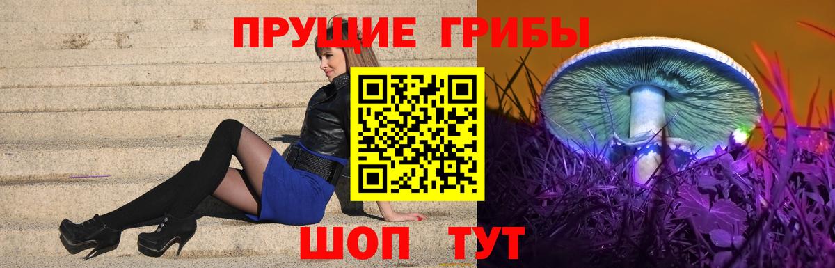 Псилоцибиновые грибы Cubensis  Вход с VPN  Новозыбков  Галлюциногенные грибы мухоморы 